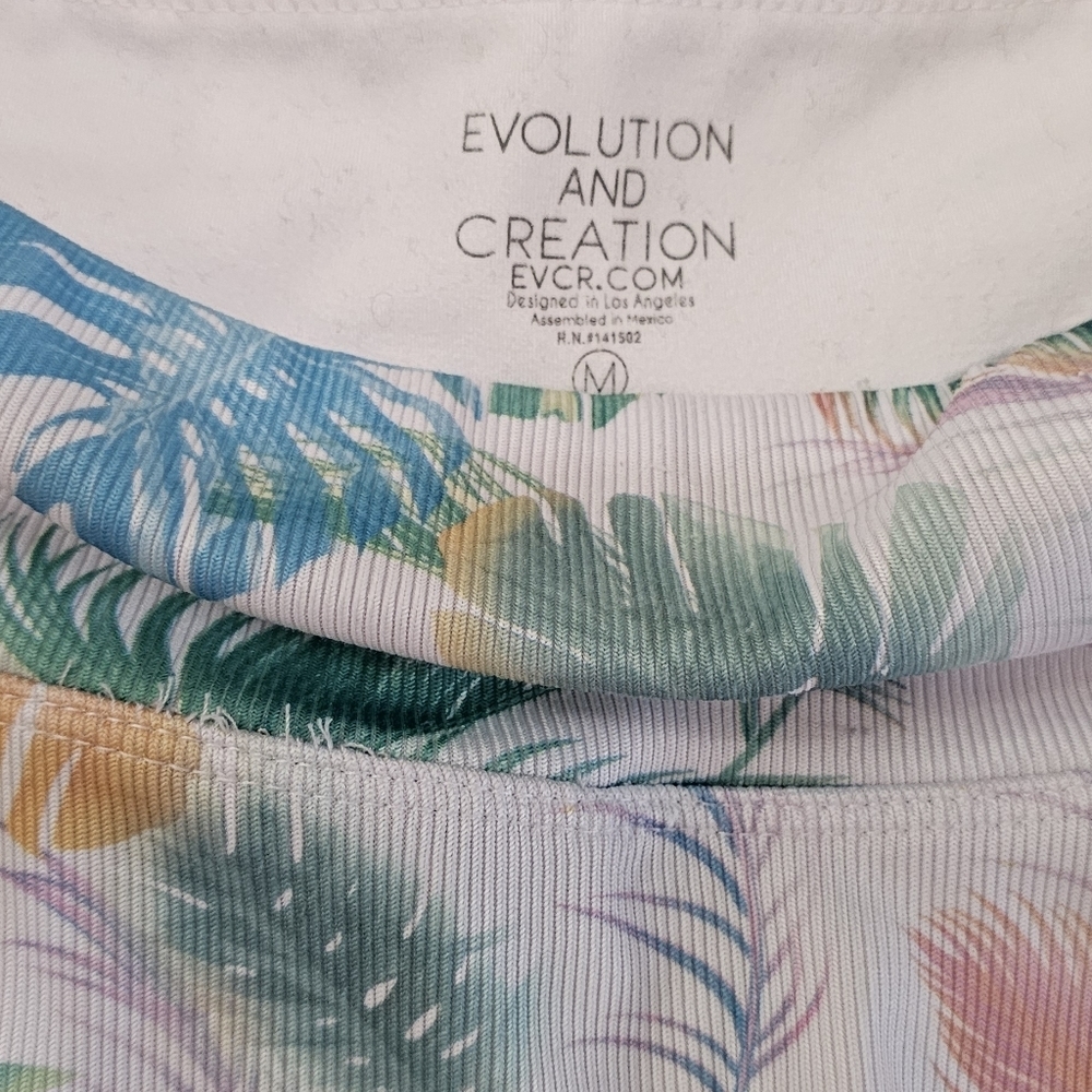Evolution and creation - Picture 5 of 6